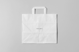 纸袋购物袋样机