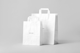 纸袋购物袋样机
