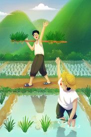 夏季田间插秧人物插画图片