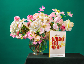 书籍画册样机效果图图片