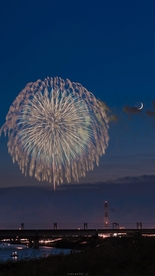 夜空烟花手机高清壁纸