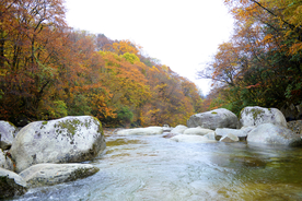 金秋山溪