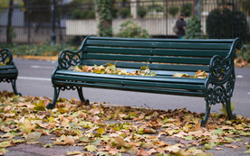 长椅坐垫椅子凳子图片