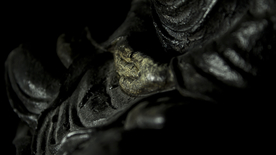 少林寺佛堂寺庙微距