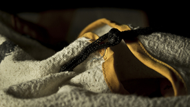 少林寺佛堂寺庙微距