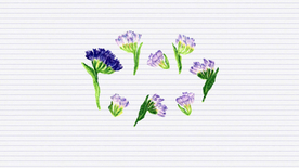 花环花篮唯美图片