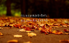 诗词歌曲文字背景