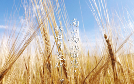 诗词歌曲文字背景