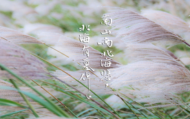 诗词歌曲文字背景