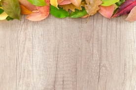 叶子边框木板纹理