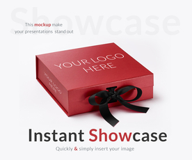 饰品盒包装样机