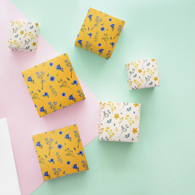 饰品盒包装样机