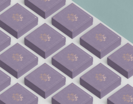 礼品盒包装样机