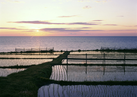 围湖造田 湖