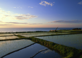 围湖造田 湖