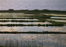 围湖造田