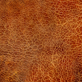 皮革贴图