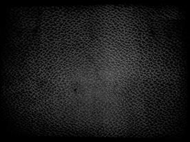皮革贴图