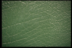 皮革贴图