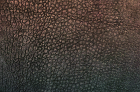 皮革贴图