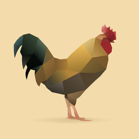 公鸡