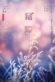 24节气霜降宣传海报