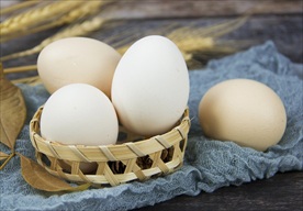 土鸡蛋
