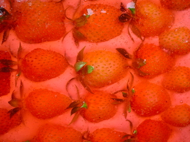 果冻皮冻肉冻图片