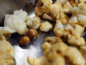 爆米花米花图片