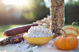 爆米花米花图片