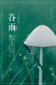 谷雨海报