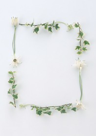 花环花篮花框唯美图片