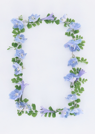 花环花篮花框唯美图片