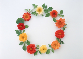 花环花篮花框唯美图片