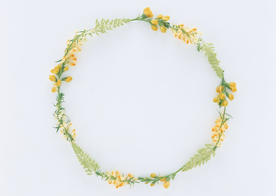 花环花篮花框唯美图片