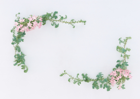 花环花篮花框唯美图片