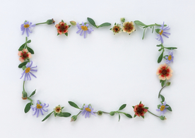 花环花篮花框唯美图片