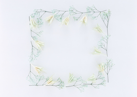 花环花篮花框唯美图片