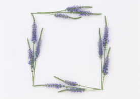 花环花篮花框唯美图片