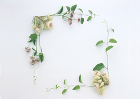 花环花篮花框唯美图片