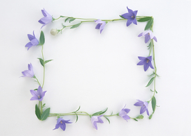 花环花篮花框唯美图片