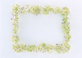 花环花篮花框唯美图片