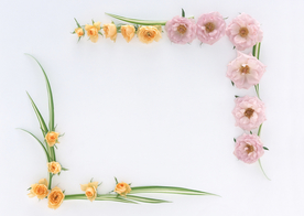 花环花篮花框唯美图片