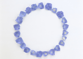 花环花篮花框唯美图片