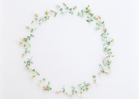 花环花篮花框唯美图片