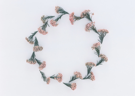 花环花篮花框唯美图片