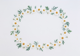 花环花篮花框唯美图片