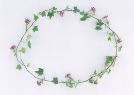 花环花篮花框唯美图片