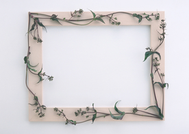 花环花篮花框唯美图片