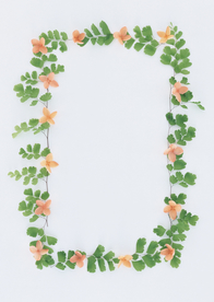 花环花篮花框唯美图片